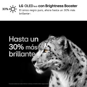 LG 55 pulgadas Smart TV LG OLED evo AI C4 4K 2024, OLED55C45LA