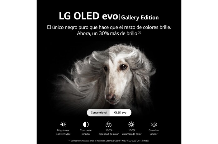 LG Televisor LG  4K OLED evo Gallery Edition, Procesador Inteligente de Máxima Potencia 4K a9 Gen 5 con IA, compatible con el 100% de formatos HDR, HDR Dolby Vision, Dolby Atmos, Smart TV webOS22, el mejor TV para Gaming.  Ideal para colgar en la pared., OLED55G26LA