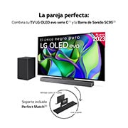 LG Outlet 65 pulgadas Smart TV LG OLED evo C3 4K 2023, OLED65C31LA.OUTLET