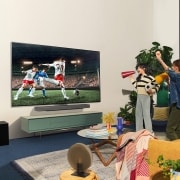 LG Outlet 65 pulgadas Smart TV LG OLED evo AI C4 4K 2024, OLED65C46LA.OUTLET