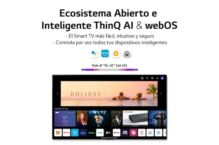 LG 65 pulgadas Smart TV LG OLED evo G2 4K 2022, OLED65G29LA