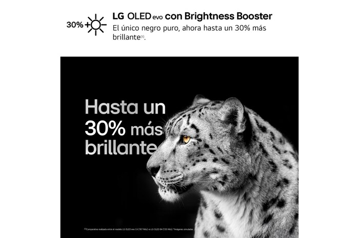 LG 77 pulgadas Smart TV LG OLED evo AI C4 4K 2024, OLED77C46LA.OUTLET