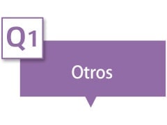Dice &quot;Otros&quot; en el cuadro de texto.