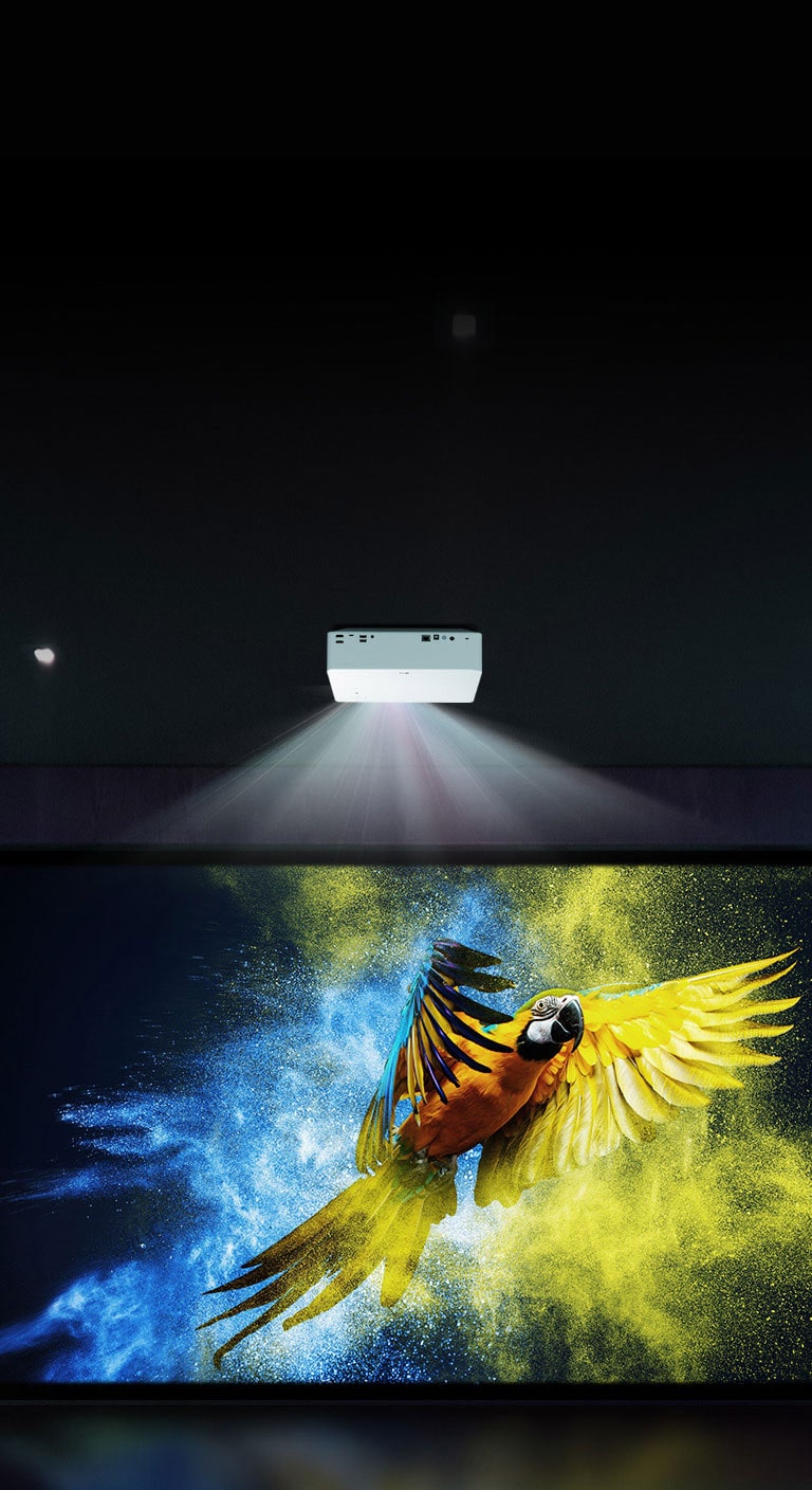 Sorprendente cine en casa 4K1