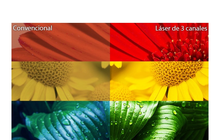 Máxima precisión del color