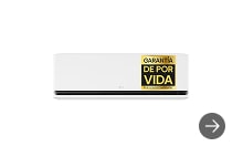 LG DUALCOOL AI