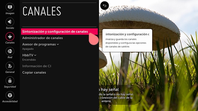 Apartado Canales