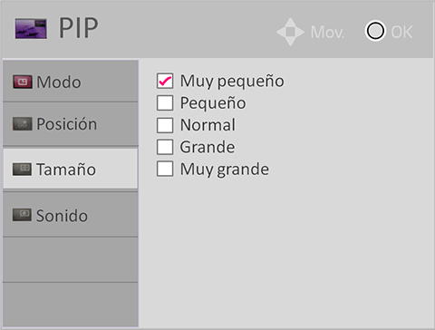 lg-monitor-pip-menu-netcast-04