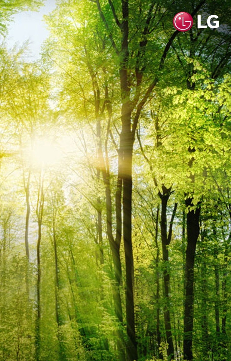 1600x800_t3