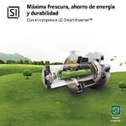 LG Frigorífico Combi DoorCooling+™ 1,86m, Clasificación D, capacidad de 374l, Blanco, serie P-600, GBP61SWPGN
