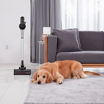 LG Aspirador  escoba LG  Kompressor  260W succión,  con  doble batería y sistema de compresión de polvo, A9K-CORE3S