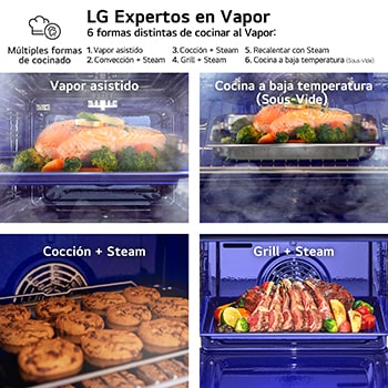 LG Horno Instaview Vapor 100% 76L A++ con sistema de limpieza Blue EasyClean, cristal negro mate, WS9D7672WM