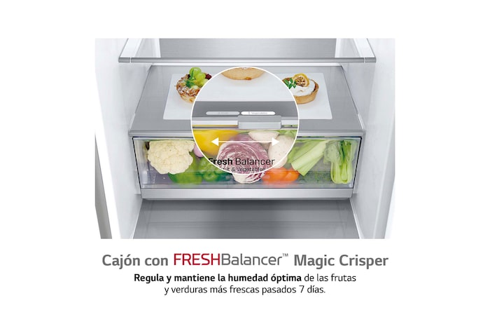 LG Frigorífico Combi 2 metros , Clasificación B, capacidad de 419L, Acero premium Antihuellas, serie Centum, GBB92STABP