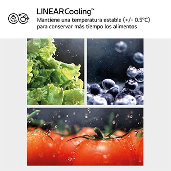 LG Frigorífico Combi Instaview  Door Cooling+, 1,86 m, Clasificación C, capacidad de 352 l,  Acero negro grafito, GBG5160CEV