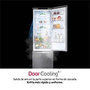 LG Frigorífico Combi 2.03m, Clasificación C, capacidad de 419l, Inox antihuellas, serie P-600, GBP62PZNCN1