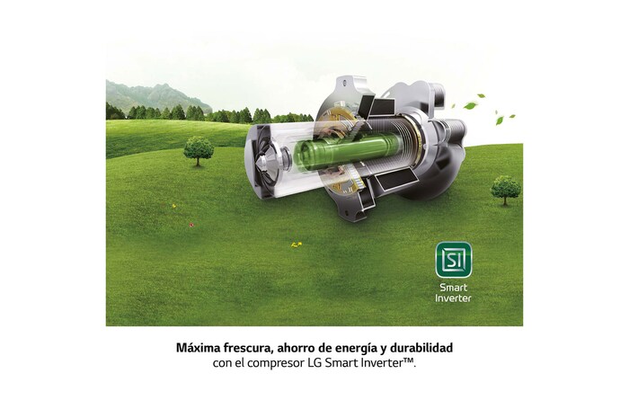 LG Frigorífico Combi Door Cooling+, 2,03m, Clasificación C, capacidad de 419l, inox antihuellas. Serie P500 , GBP52PZNCN1