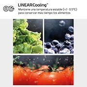 LG Frigorífico Combi Door Cooling+,  2,03m, Clasificación C, capacidad de 419l, Inox antihuellas. Serie 200, GBV22NCCPY