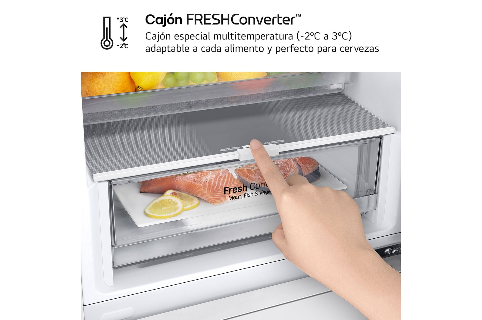 detailed view of the interior drawers