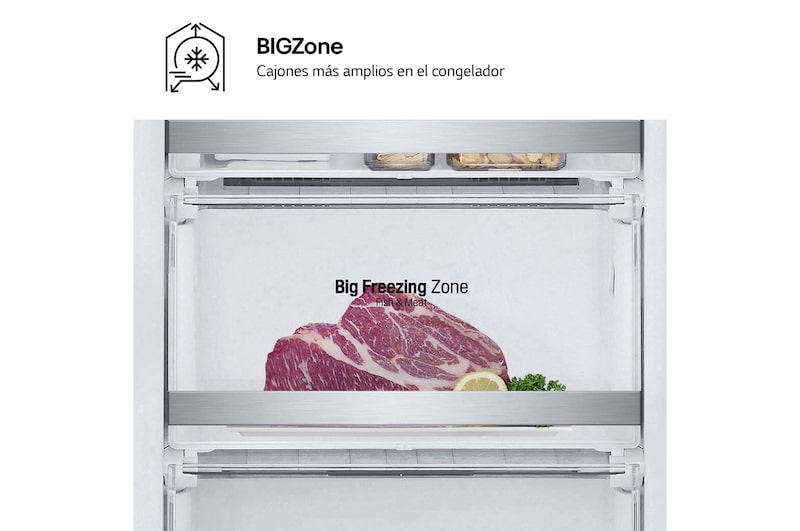 interior shot featuring LG bottom freezer