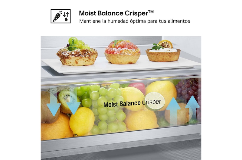 LG SERIE 500 Door Cooling+, 1,86 m, Clasificación D, capacidad de 374 l, Inox antihuellas, GBV5140DPY vista frontal ladeada, GBV5140DPY