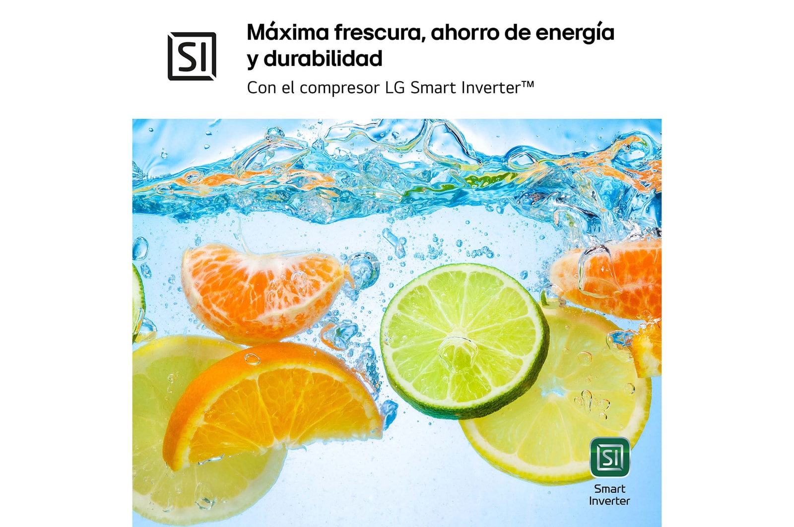LG SERIE 500  Door Cooling+, 1,86  m, Clasificación D, capacidad de 374 l,  Inox antihuellas, GBV5140DPY vista frontal ladeada, GBV5140DPY