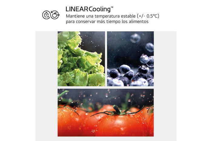 LG Frigorífico Combi Door Cooling+, 2,03m, Clasificación C, capacidad de 419l, inox antihuellas. Serie 700, GBV7280CPY, GBV7280CPY