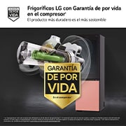 LG Frigorífico combi Instaview con MoodUP Door Cooling+, 1,86 m, Clasificación D, capacidad de 352 l,  Multicolor, GBG719MDNN