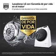 LG Outlet Lavasecadora inteligente AI Direct Drive TM, Turbowash 360º, 10/6kg, 1400rpm, Un 10% más eficiente que A(lavado) /D(secado) Blanca, Serie 600, F4DR6010A0W.OUTLET