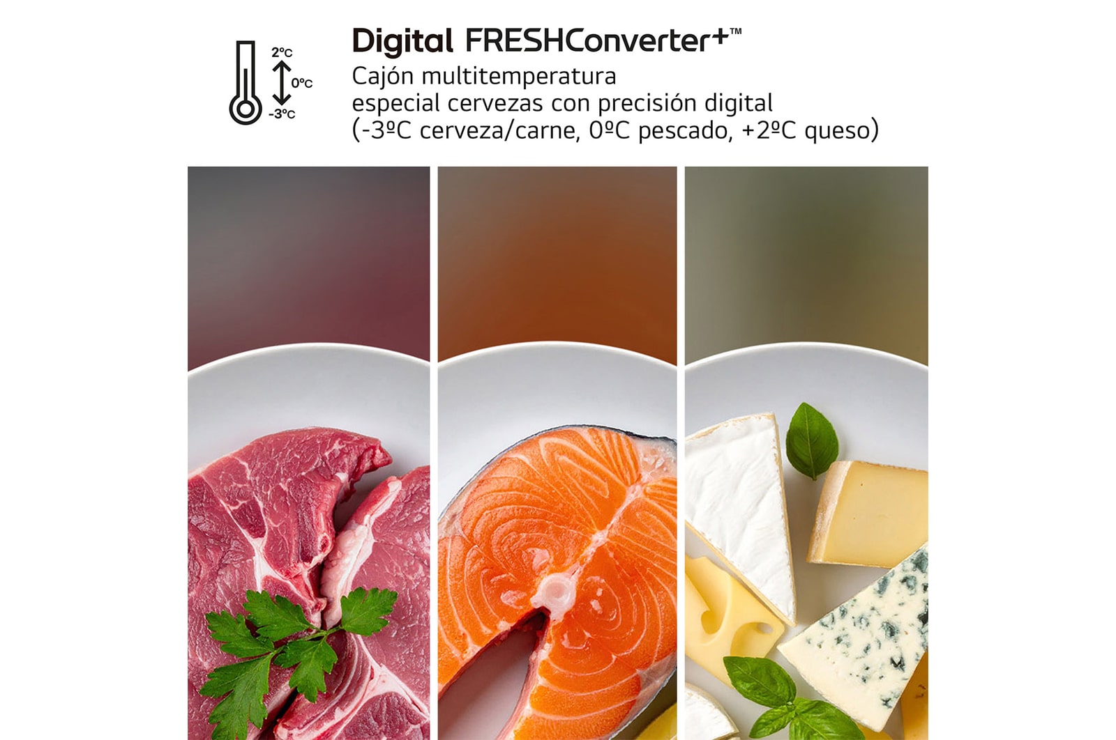 Digital freshConverter+TM