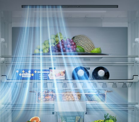 Vista interior de un congelador inferior LG con estantes llenos de frutas, verduras, bebidas y aperitivos, mientras que las líneas azules de flujo de aire soplan desde el lado izquierdo del frigorífico.    