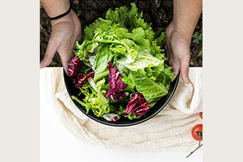 Manos sosteniendo un cuenco lleno de verduras frescas sobre una mesa.