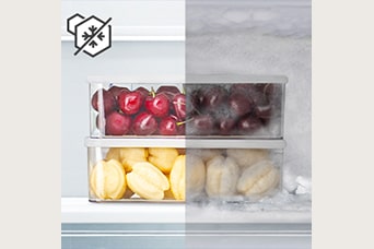 Comparación de envases de fruta congelada sin y con escarcha.