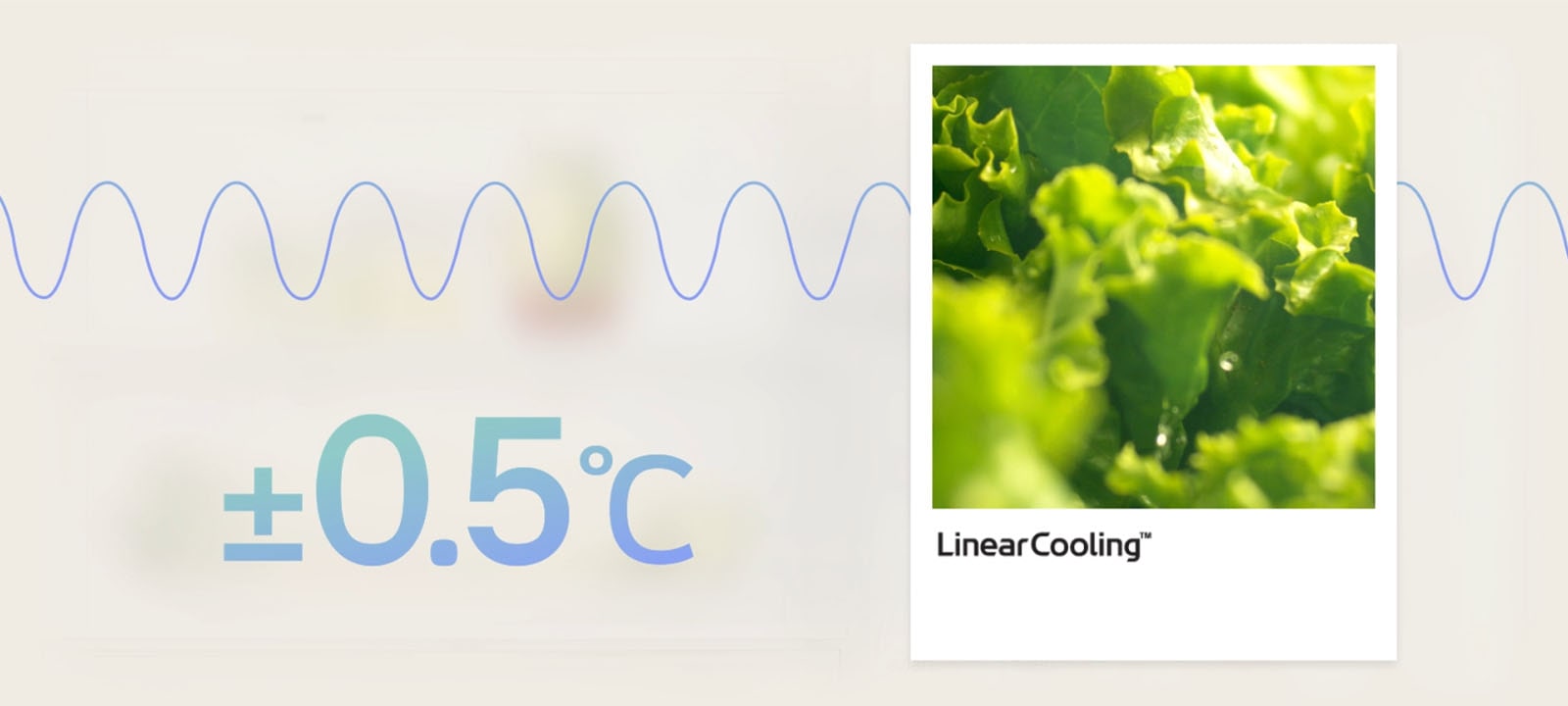 Gráfico de enfriamiento lineal con verduras frescas cerca, que muestra las fluctuaciones de temperatura mantenidas dentro de ±0,5℃ para la frescura de los alimentos.