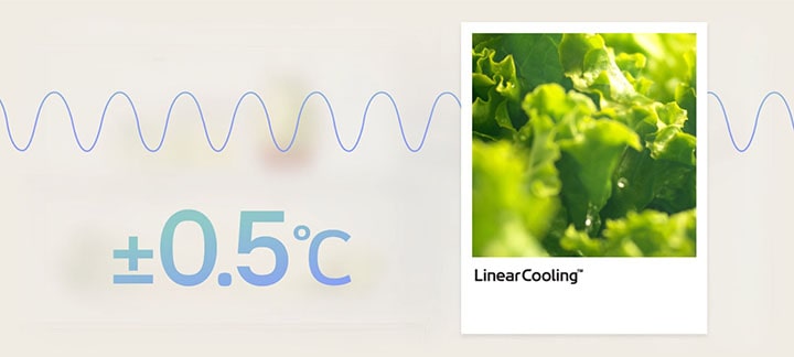 Gráfico de enfriamiento lineal con verduras frescas cerca, que muestra las fluctuaciones de temperatura mantenidas dentro de ±0,5℃ para la frescura de los alimentos.