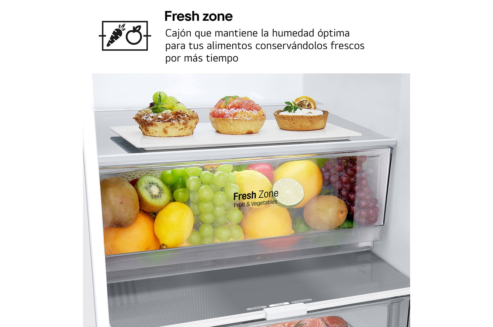 fresh zone