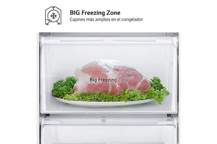 Big Freezer