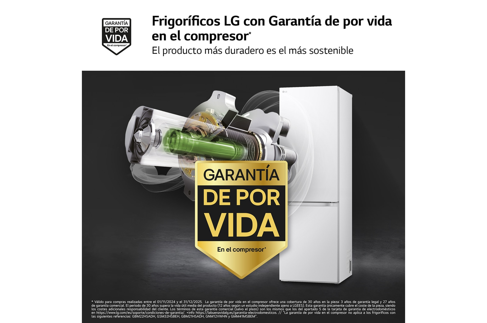 Imagen característica 1