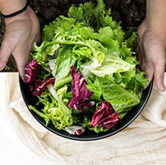Manos sosteniendo un cuenco lleno de verduras frescas sobre una mesa.