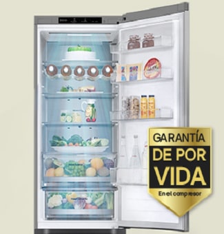 Frigorífico abierto