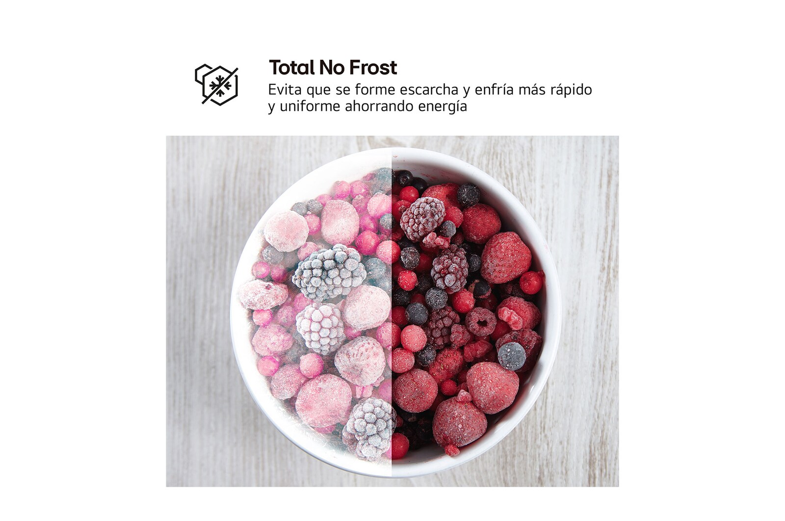 LG Frigorífico Dos Puertas | LG GTBV22PYNJ, Total No Frost, 1,45m, Clasificación E, Inox antihuellas, GTBV22PYNJ