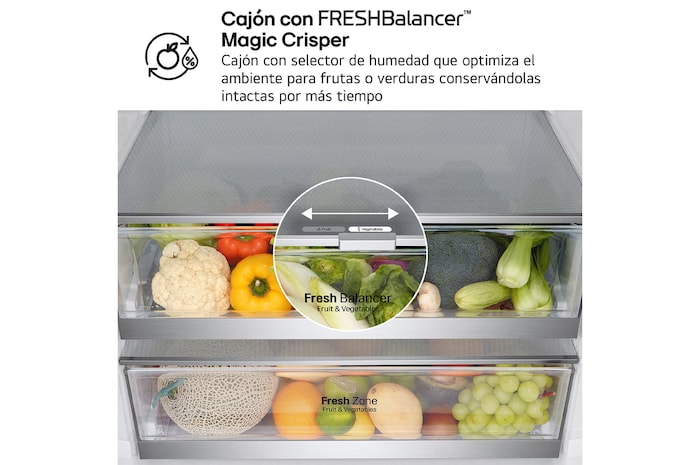 LG Frigorífico Combi 1,85m, Clasificación E, capacidad de 500l, Inox antihuellas, serie 70cm, GBB567PZCMB