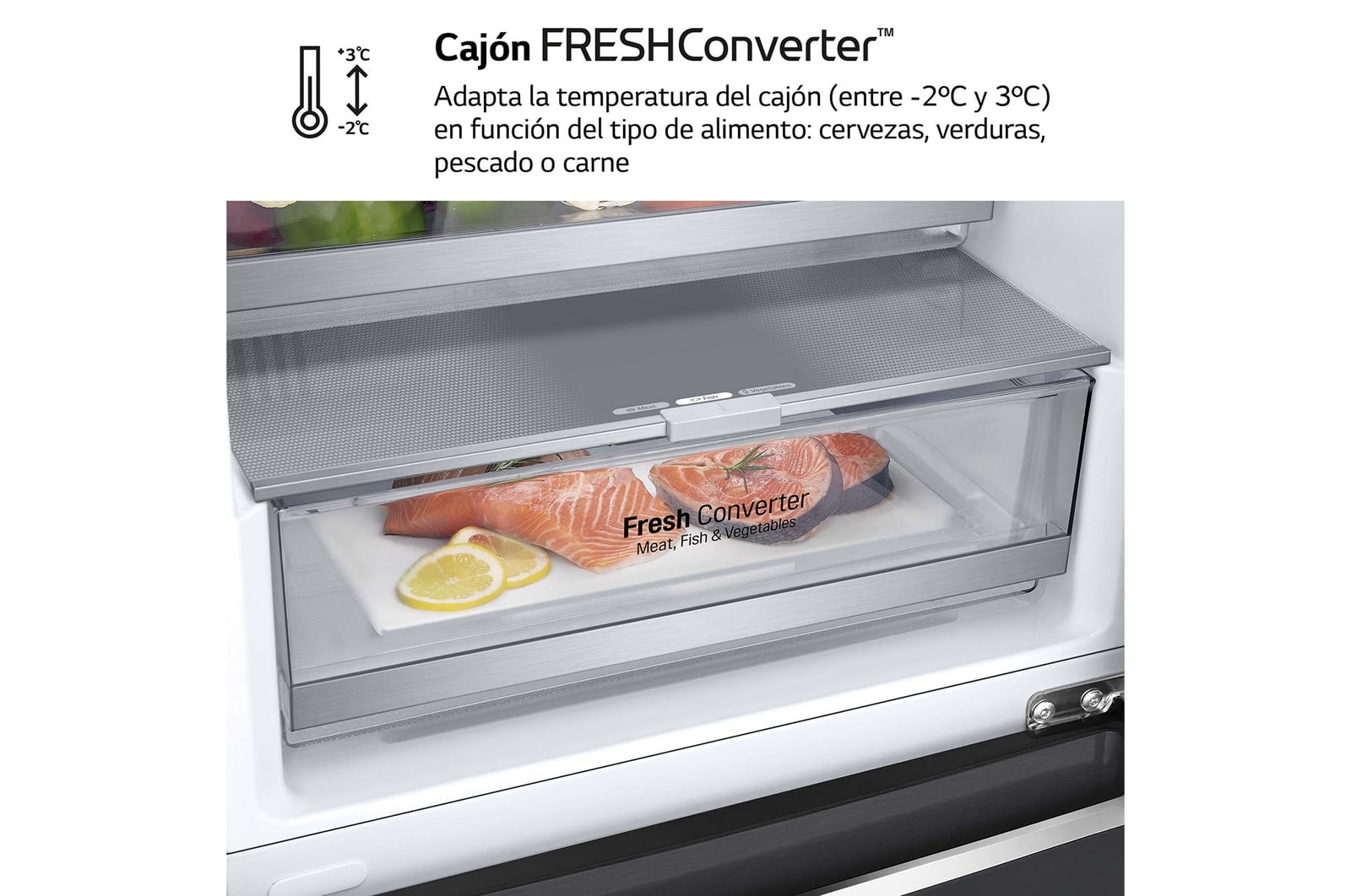 LG Frigorífico Combi 2m, Clasificación un 12% más eficiente que A, 419l, Acero Negro-grisáceo Mate, serie Centum, GBB92MCB2P