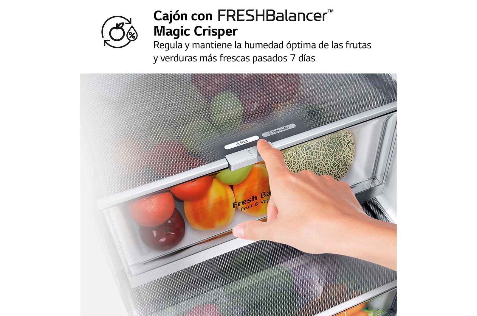 LG Frigorífico Combi 2m, Clasificación un 12% más eficiente que A, 419l, Acero Negro-grisáceo Mate, serie Centum, GBB92MCB2P