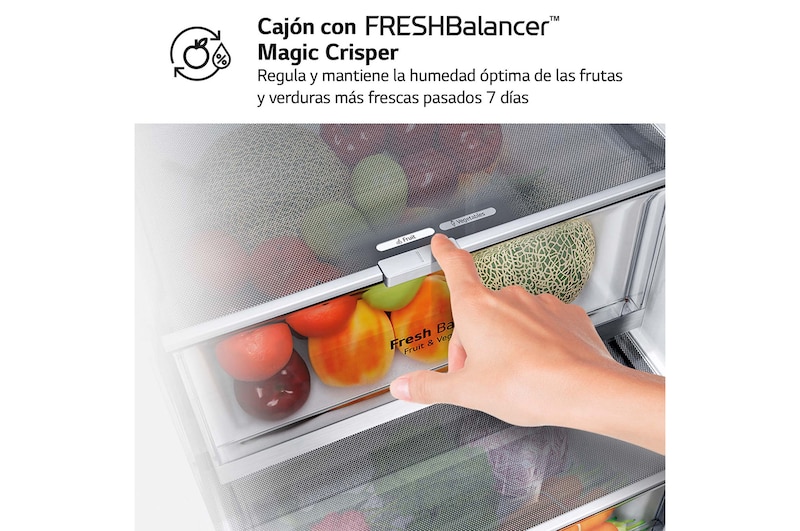 LG Frigorífico Combi 2m, Clasificación un 12% más eficiente que A, 419l, Acero Negro-grisáceo Mate, serie Centum, GBB92MCB2P