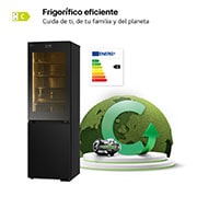 LG Frigorífico Combi Instaview  Door Cooling+, 1,86 m, Clasificación C, capacidad de 352 l,  Acero negro grafito, GBG7190CEV