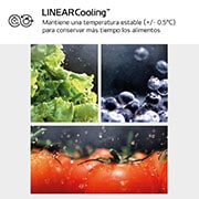 LG Frigorífico Combi Instaview  Door Cooling+, 1,86 m, Clasificación C, capacidad de 352 l,  Acero negro grafito, GBG7190CEV