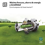 LG Frigorífico Combi 1,86m, Clasificación D, capacidad de 374l, Inox grafito , serie P-600 , GBP61DSPGN
