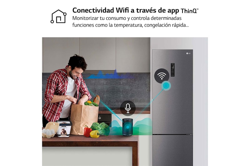 LG Frigorífico Combi 1,86m, Clasificación D, capacidad de 374l, Inox grafito , serie P-600, GBP61DSXGC