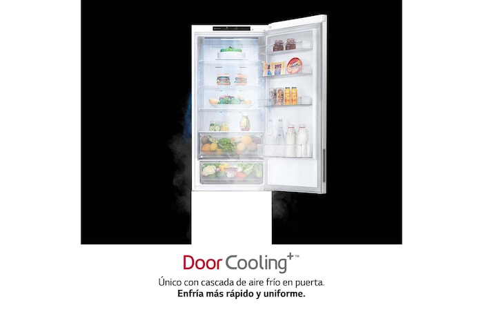 LG Frigorífico Combi 2m, Door Cooling Clasificación A, capacidad 419l, Blanco, Serie P-600, GBP62SWNAC