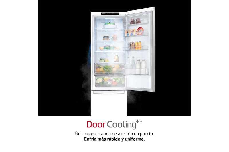 LG Frigorífico Combi Door Cooling+, 2m, Clasificación C, capacidad de 419l, Blanco, serie P-600, GBP62SWNCN1